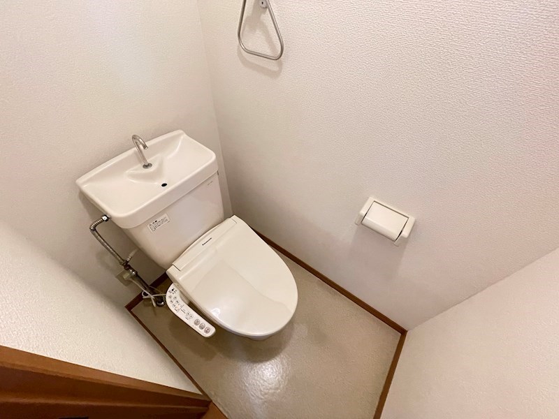 トイレ　2024/6/22撮影