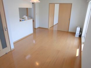 居室・リビング　同タイプ内観です