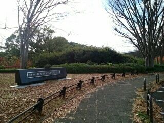 公園　駒沢公園（公園）まで910m