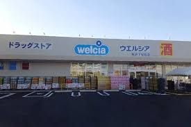 ドラックストア　ウエルシア所沢下安松店（ドラッグストア）まで708m