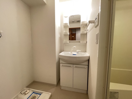 洗面設備　※別号室の写真です