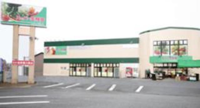 スーパー　スーパー生鮮館TAIGA海老名下今泉店（スーパー）まで397m