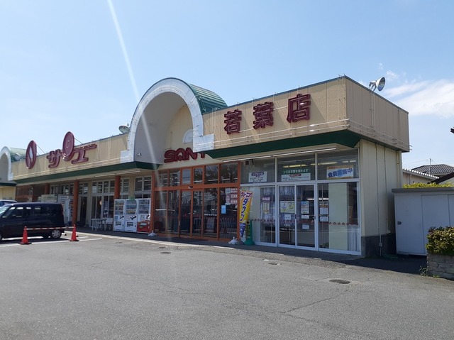 スーパー　サンユーストアー若葉店（スーパー）まで300m