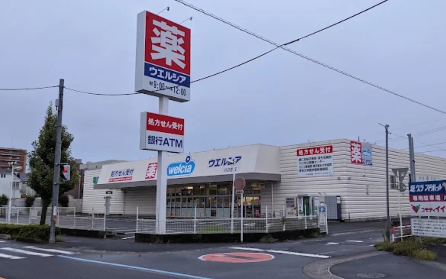 ドラックストア　ウエルシア川口芝薬局（ドラッグストア）まで810m