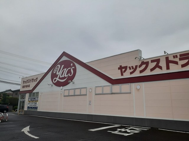 その他　ヤックスドラッグ（その他）まで750m