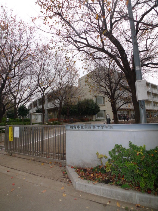 小学校　朝霞市立朝霞第十小学校（小学校）まで298m