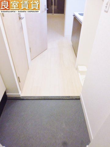 玄関　※このお写真は同物件の別のお部屋のお写真です。現状優先