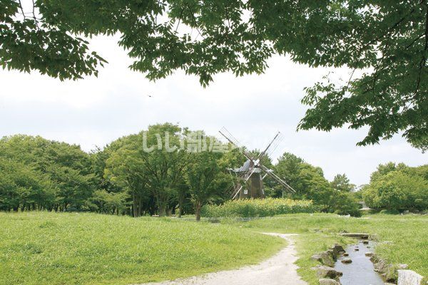 公園　名城公園（公園）まで973m
