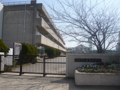 中学校　浦安市立美浜中学校（中学校）まで635m
