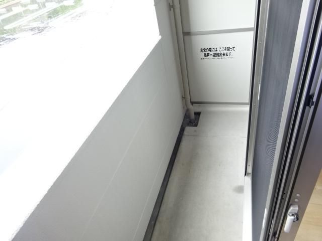 カメリアのその他写真
