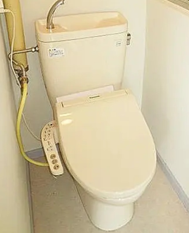東急田園都市線 駒沢大学駅 徒歩21分 3階建 築56年のトイレ写真