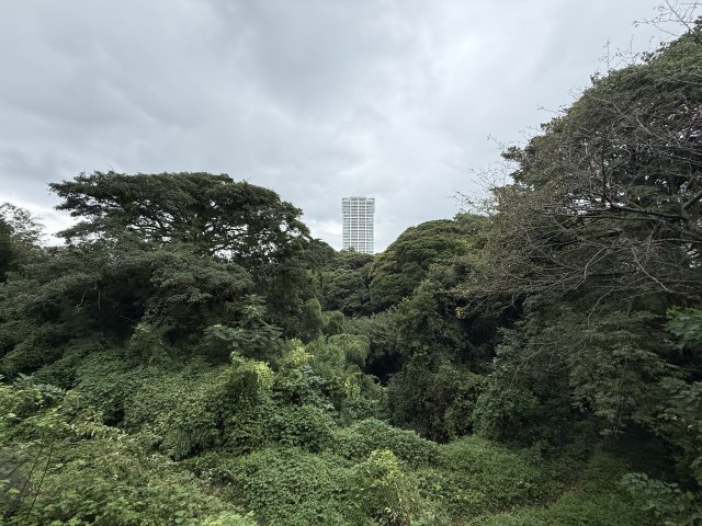 眺望　緑豊かで心落ち着きます！