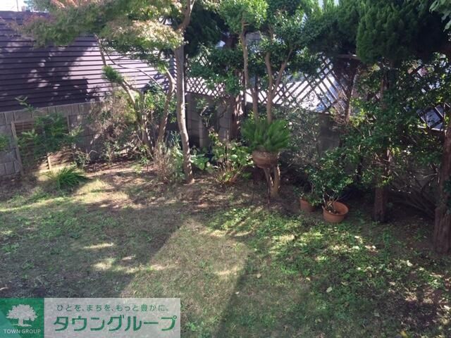庭