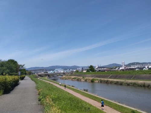 公園　安威川河川敷公園（公園）まで1195m