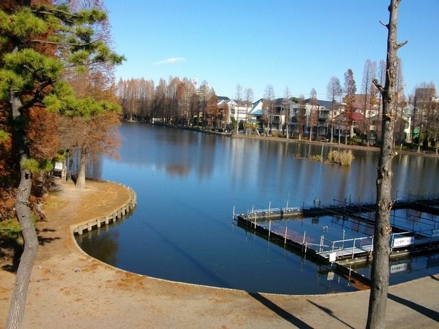 公園　別所沼公園（公園）まで200m