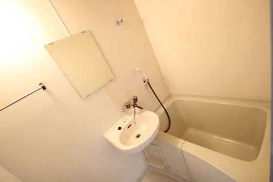 バス・シャワールーム　※他号室の写真です