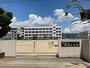 小学校　城西小学校（小学校）まで2313m