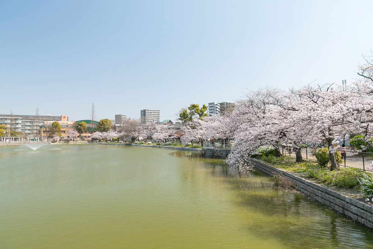 【KGソフィアアベノ播磨町の公園】