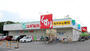 ドラックストア　スギ薬局 津田沼店（ドラッグストア）まで413m