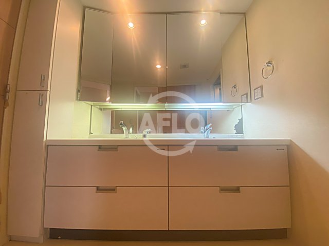 洗面設備　ロイヤルパークス桃坂　独立洗面台