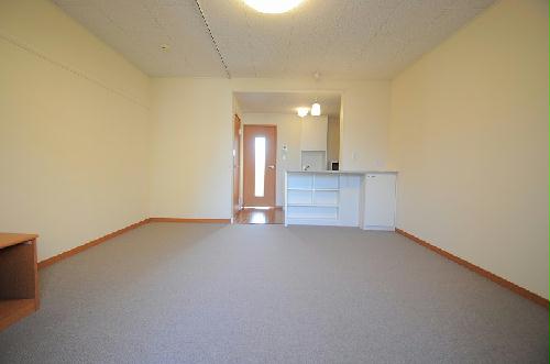 居室・リビング　2階以上は絨毯です。