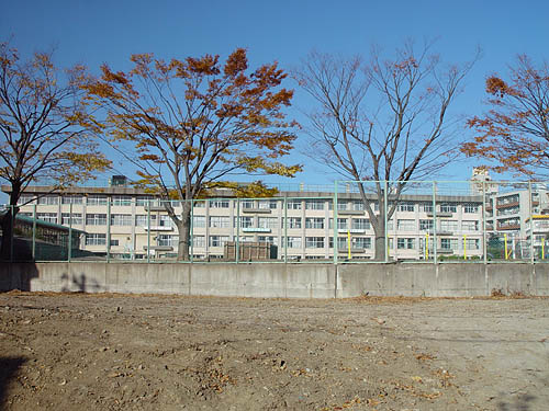 小学校　仙台市立幸町小学校（小学校）まで478m