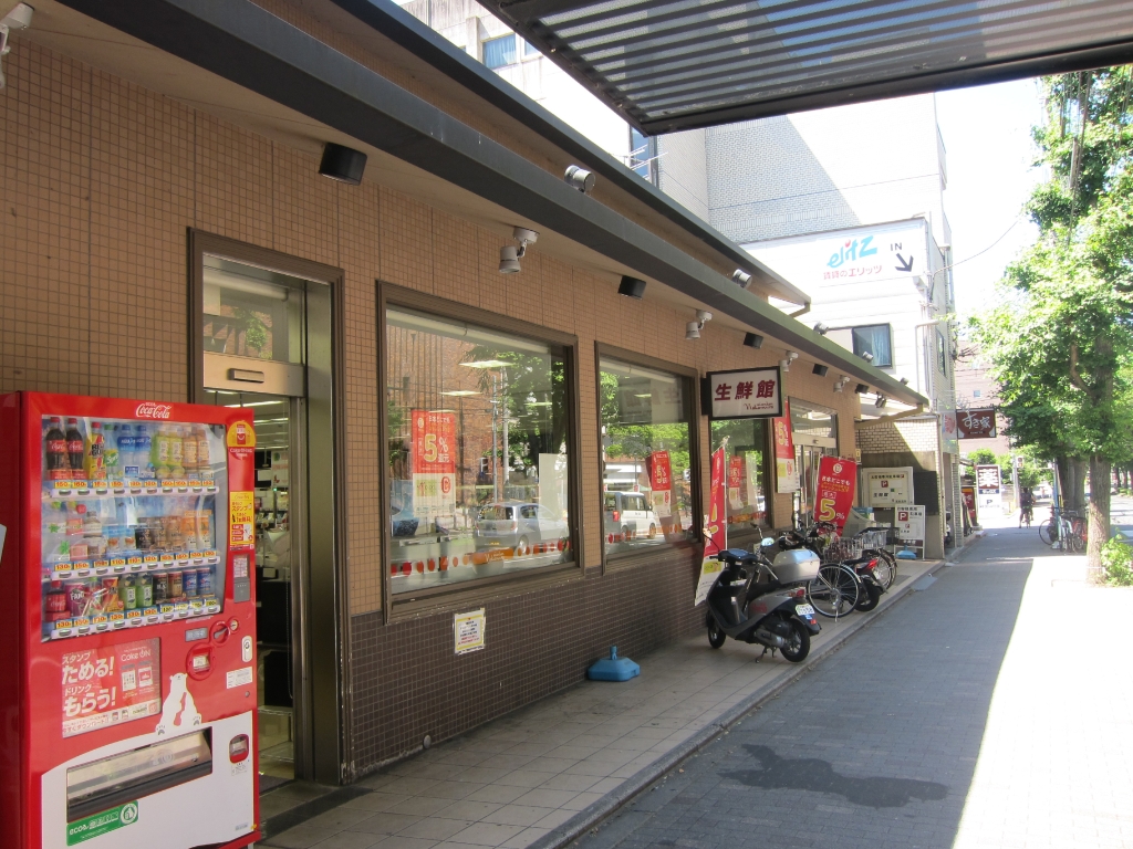 スーパー　生鮮館なかむら白川店（スーパー）まで310m