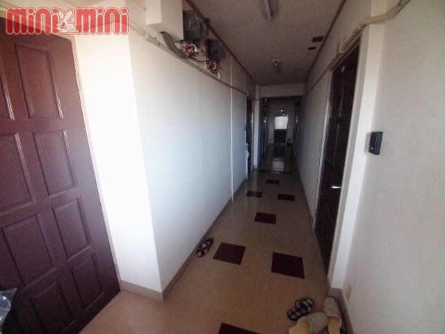 エントランス　廊下