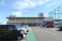 スーパー　ベルク松戸河原塚店（スーパー）まで600m