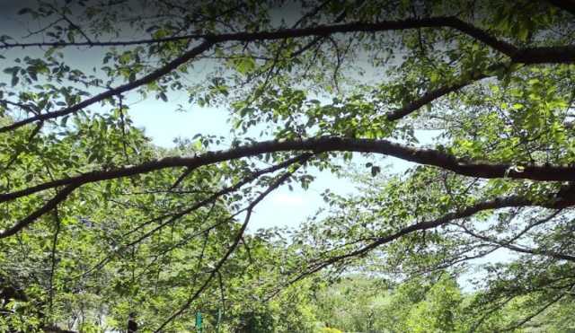 ドラックストア　ココカラファイン　成城店（ドラッグストア）まで1011m