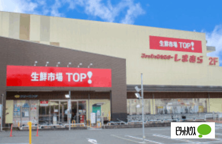 スーパー　マミーマート生鮮市場ＴＯＰ船橋日大前店（スーパー）まで333m