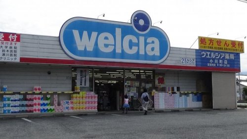 ドラックストア　ウエルシア 小川町店（ドラッグストア）まで742m
