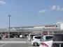 スーパー　ヤマザワ成沢店（スーパー）まで710m