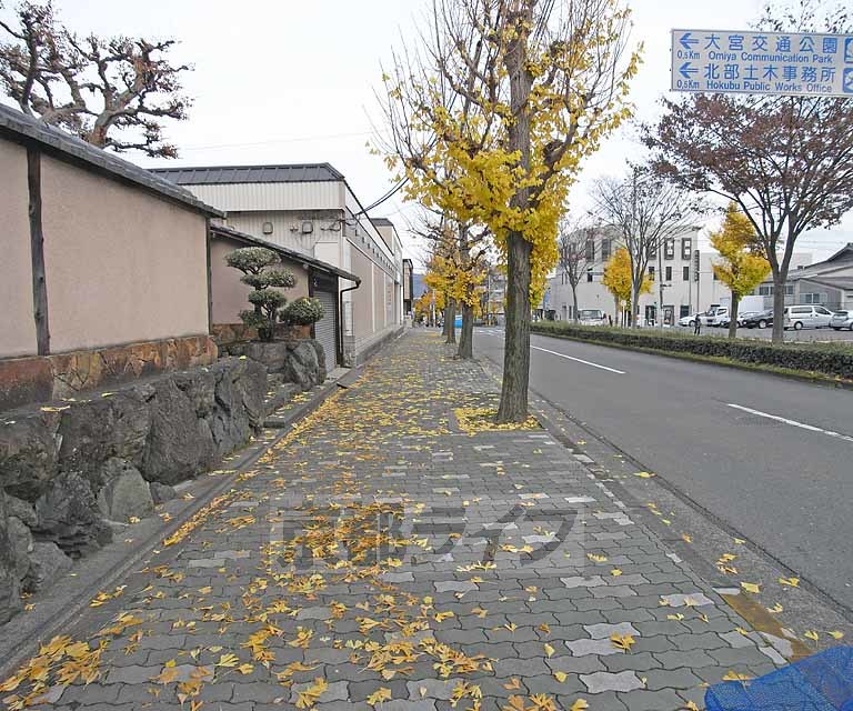 その他　秋は紅葉が綺麗です。