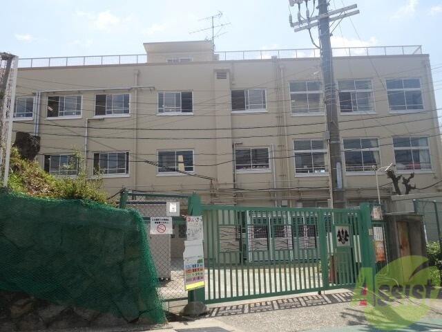 小学校　神戸市立御影北小学校（小学校）まで704m