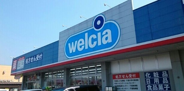 ドラックストア　ウエルシア薬局誉田店（ドラッグストア）まで800m