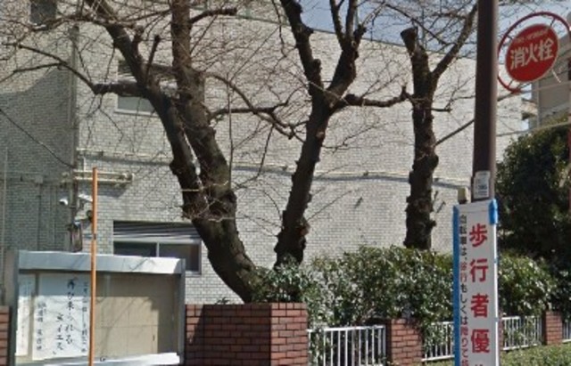 幼稚園・保育園　代田幼稚園（幼稚園・保育園）まで342m