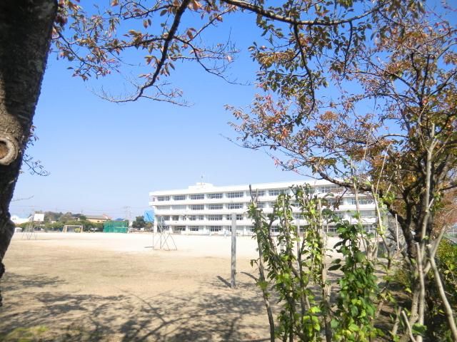 小学校　三郷市立前間小学校（小学校）まで572m