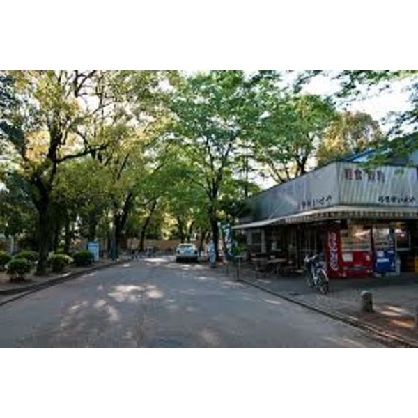 公園　中村公園（公園）まで1417m