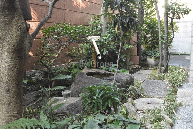 庭