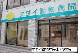 病院　オダイ動物病院（病院）まで900m