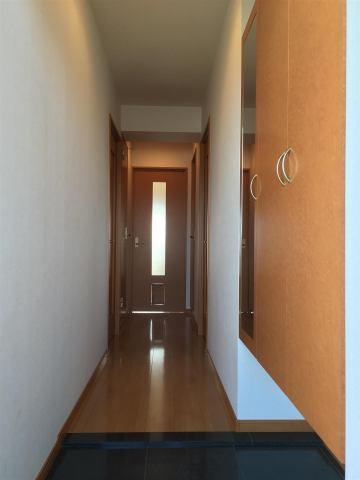 玄関　※現況優先