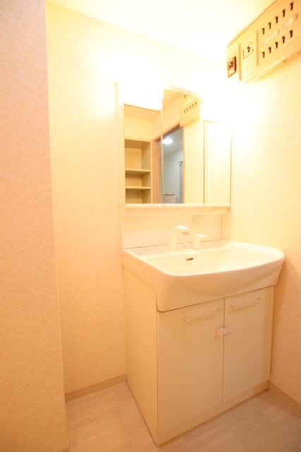 洗面設備　【※他号室参考写真】シャワー付き洗面化粧台