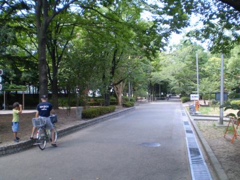 その他　中の島公園（その他）まで636m