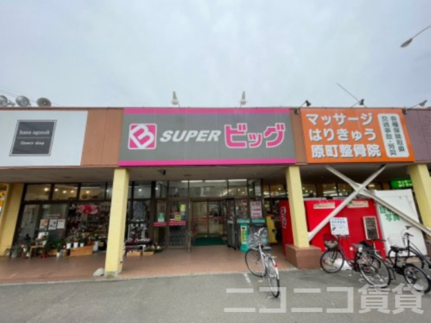 スーパー　SUPER(スーパー)ビッグ 原町店（スーパー）まで877m