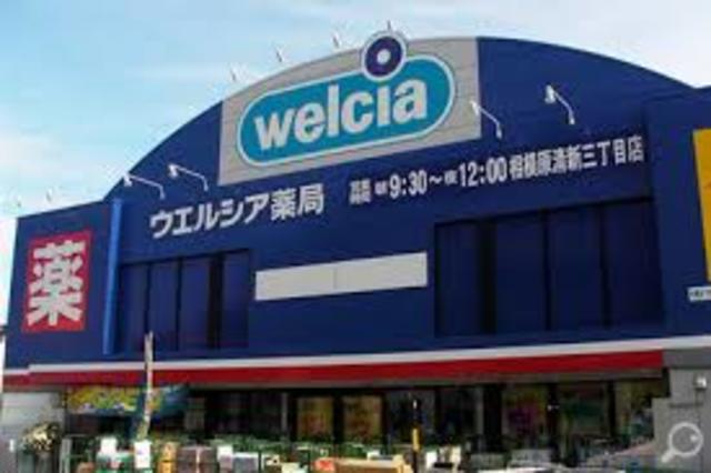 ドラックストア　ウェルパーク相模原淵野辺店（ドラッグストア）まで1015m