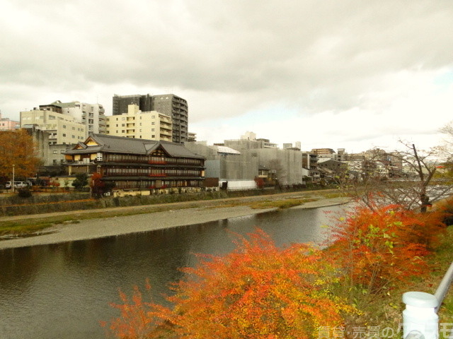 その他　鴨川（その他）まで230m