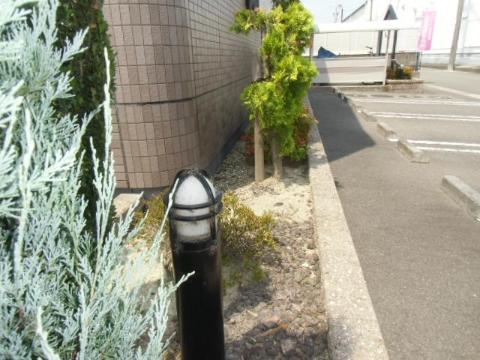 庭　中庭（イメージ）