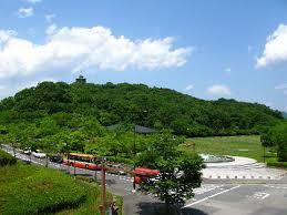 公園　中央公園（公園）まで2238m
