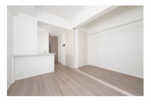 その他　同シリーズの参考写真です